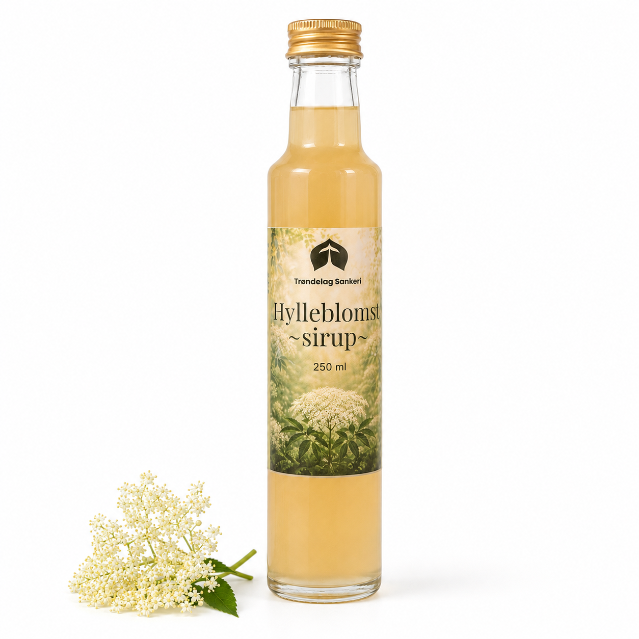Hylleblomst – sirup, 250 ml