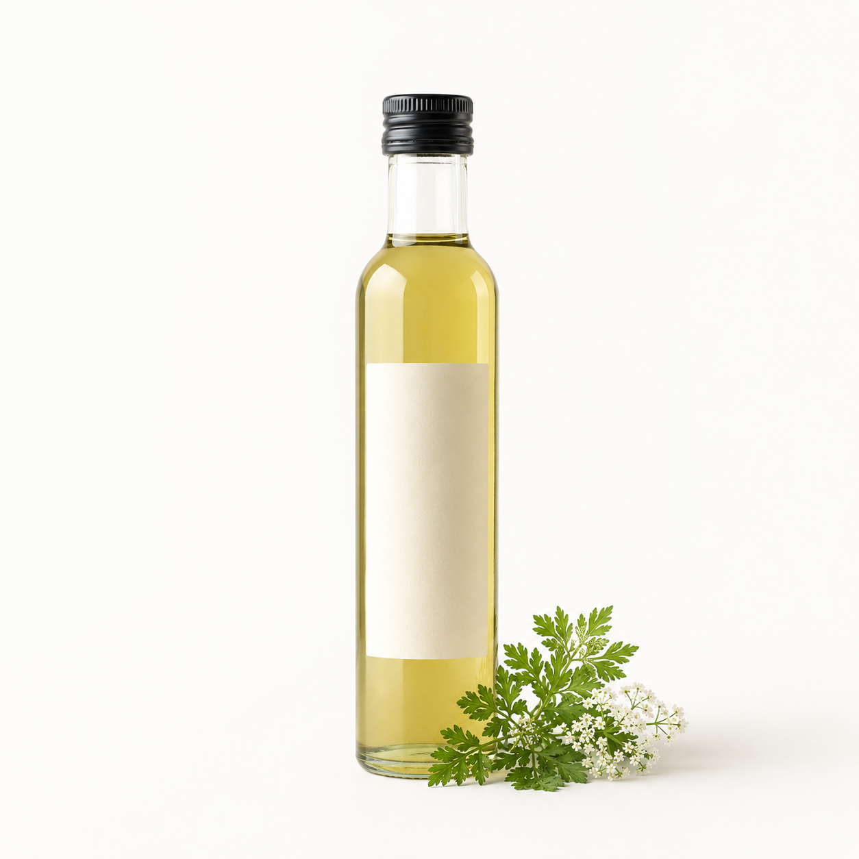 Spansk kjørvel – sirup, 250 ml